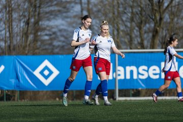 Bild 75 - F Hamburger SV 3 - Blau-Weiss 96 : Ergebnis: 5:1